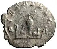Reverse image