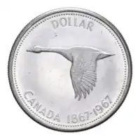 img-1