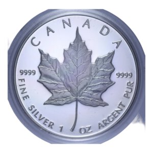 obverse: CANADA ELISABETTA II 5 DOLLARI 1989 1 OZ AG. 31,39 GR. IN COFANETTO PROOF
