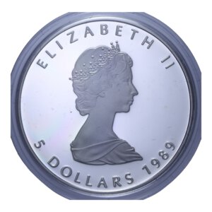 reverse: CANADA ELISABETTA II 5 DOLLARI 1989 1 OZ AG. 31,39 GR. IN COFANETTO PROOF