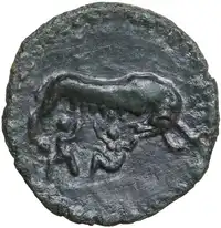 Reverse image