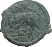 Reverse image