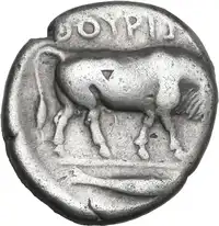 Reverse image