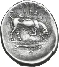 Reverse image