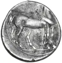 Reverse image