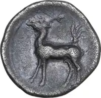 Reverse image