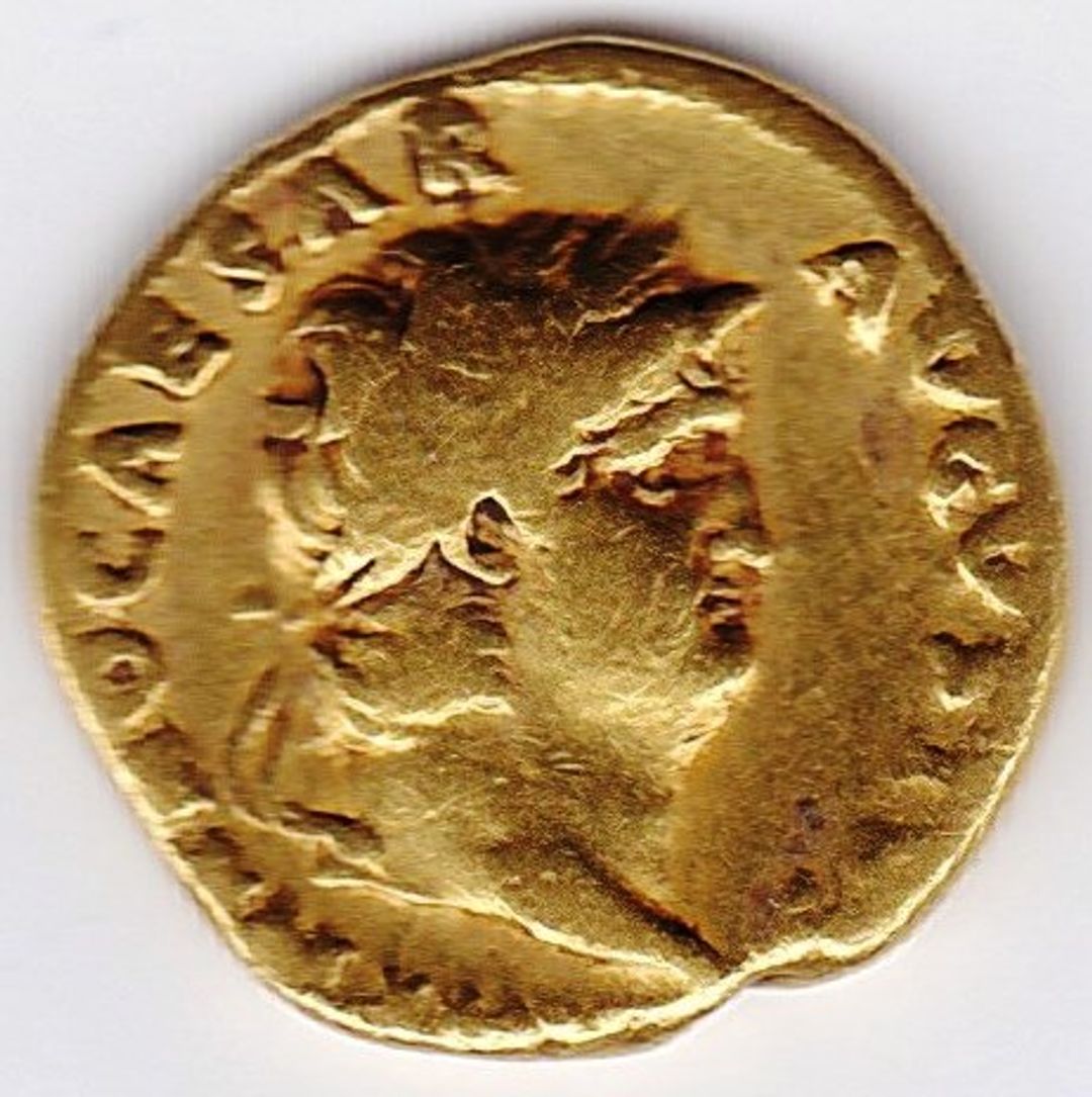 Immagine aggiuntiva 1