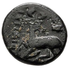 reverse: Ionia. Efeso (390-300 a.C.). AE Bronzo (13 mm. - 2,15 gr.). D.\: mosca, R.\: cervo. qBB. R1.