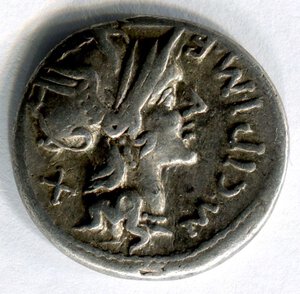 obverse: Gens CIPIA (114 a. C.). Roma. AR denarius (3,92 gr.). R.\: ROMA. Craw 289. BB. NC.