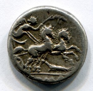 reverse: Gens CIPIA (114 a. C.). Roma. AR denarius (3,92 gr.). R.\: ROMA. Craw 289. BB. NC.