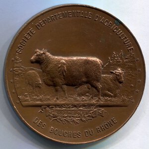 obverse: Francia. Medaglia dell agricoltura del 1895. Arles. NC. SPL+. 50,4mm