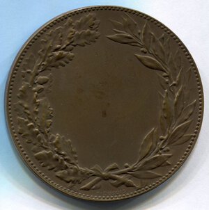 reverse: Francia. Medaglia. Premio/Nominale del 1889. NC. Ø 50,5mm.