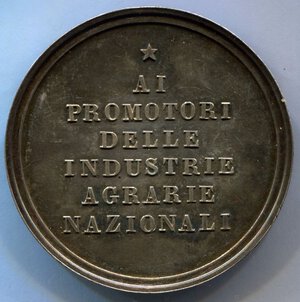 reverse: Italia. Medaglia Consorzio Agrario del 1883. Ag. R1. qSPL. Ø 40,6mm.