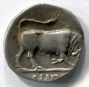 reverse: AUGUSTO (27 a.C. – 14). Lugdunum. AR denarius (). D.\: AVGVSTVS DIVI; R.\: IMP X, toro scalciante a destra; RIC 167°. BB. R1.