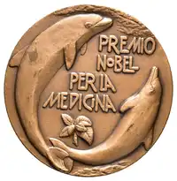 img-1