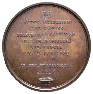 reverse: Medaglia Giovanni Antonio Meneghini 1884  -eccezionale con colpo - Diam.47 mm - lotto Co