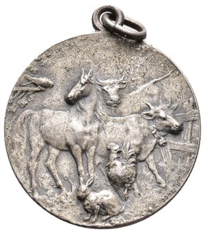 obverse: Medaglia Commissione zootecnica Modena- versione argento - diam.32 mm