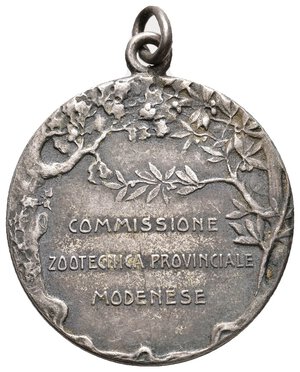 reverse: Medaglia Commissione zootecnica Modena- versione argento - diam.32 mm