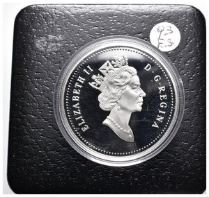 reverse: CANADA  - Dollaro argento 1993