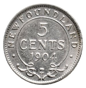 obverse: NEW FOUNDLAND - Edward VII - 5 Cents argento 1904