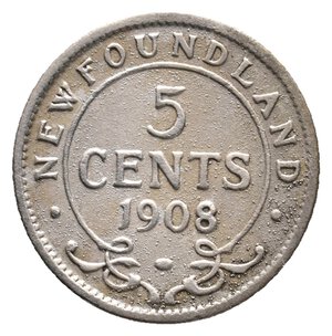 obverse: NEW FOUNDLAND - Edward VII - 5 Cents argento 1908