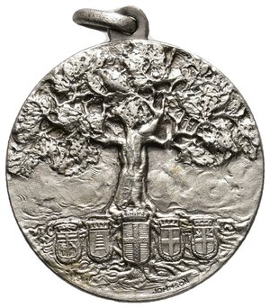 obverse: Medaglia Cassa di Risparmio Verona Vicenza e Belluno , argento - diam.30,5 mm