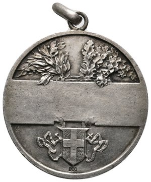 reverse: Medaglia Societa  Modenese esposizione Cavalli -argento -  diam.34 mm