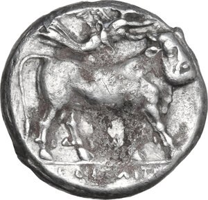 reverse: Central and Southern Campania, Neapolis. AR Didrachm, 320-300 BC