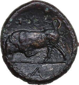 reverse: Syracuse.  Agathokles (317-289 BC).. AE 16 mm