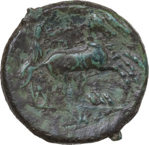 reverse: Syracuse.  Agathokles (317-289 BC).. AE 21 mm
