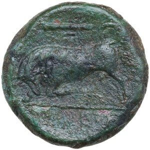 reverse: Syracuse.  Hieron II (274-215 BC).. AE 19 mm