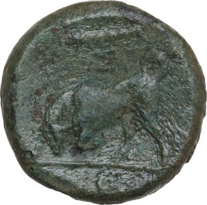 reverse: Syracuse.  Hieron II (274-215 BC).. AE 16 mm
