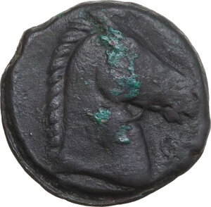 reverse: AE 28 mm, 300-264 BC