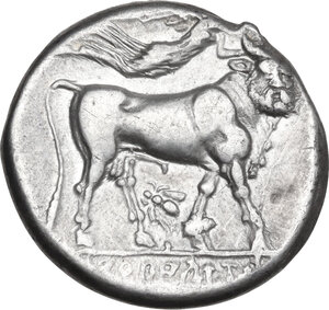 reverse: Central and Southern Campania, Neapolis. AR Didrachm, c. 300-275 BC