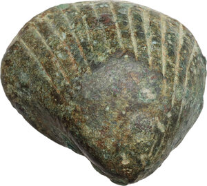 obverse: AE cast cockle-shell. Central Italy, 6th-4th century BC