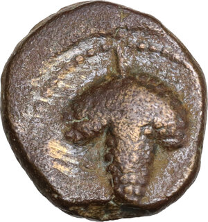 reverse: Northern Apulia, Arpi. AE 15 mm, c. 215-212 BC