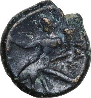 reverse: Southern Apulia, Tarentum. AE 14.5 mm, c. 275-200 BC
