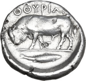 reverse: Southern Lucania, Thurium. AR Stater, 443-400 BC