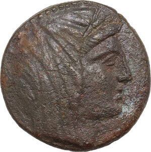 obverse: Bruttium, Petelia. AE 21 mm, 215-204 BC