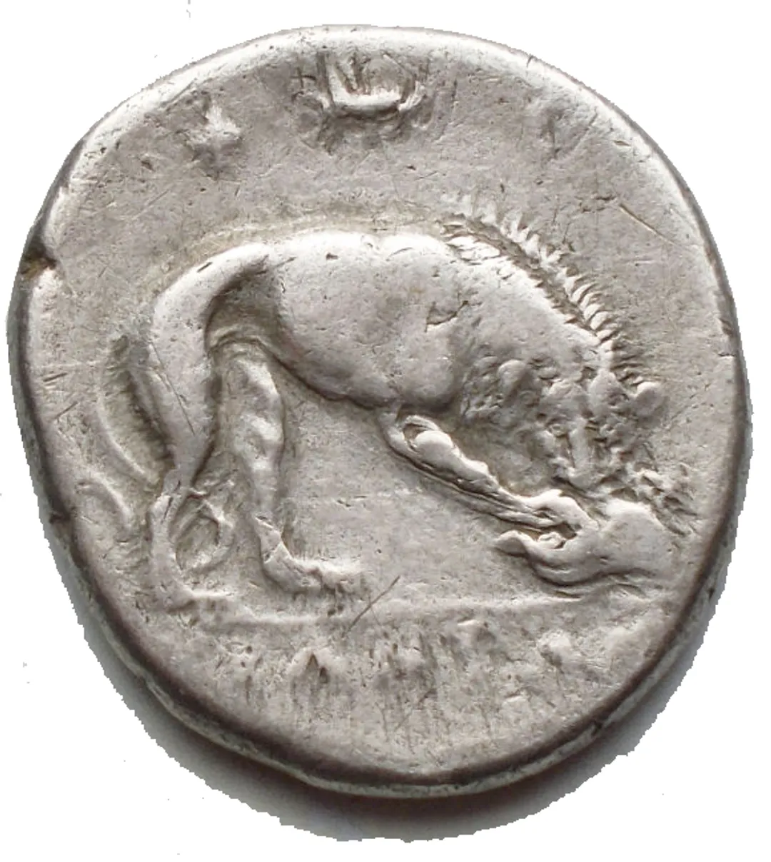 Dritto moneta