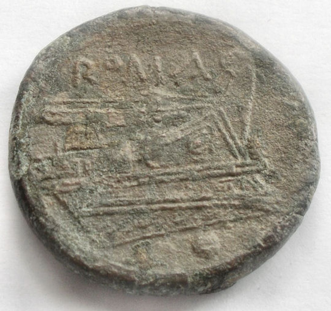 Immagine aggiuntiva 1