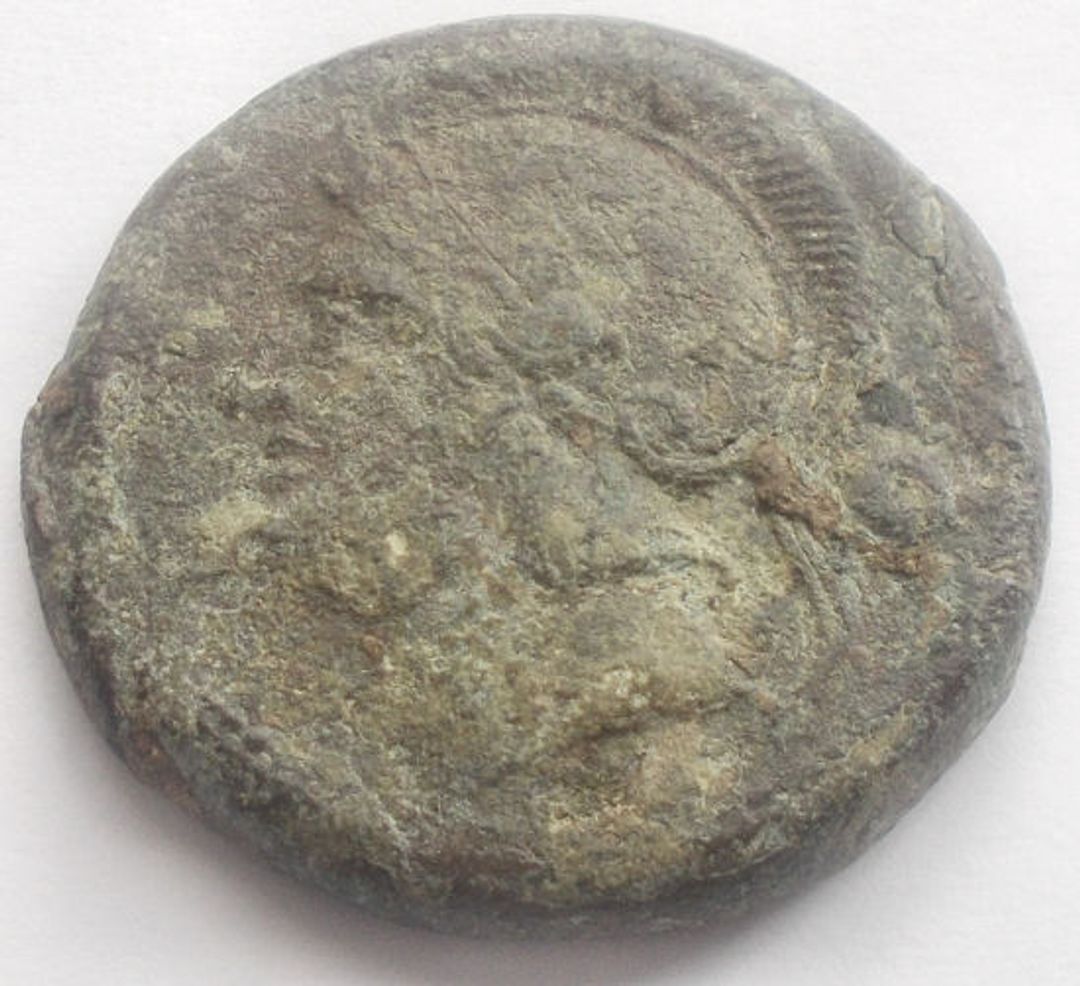 Immagine aggiuntiva 2