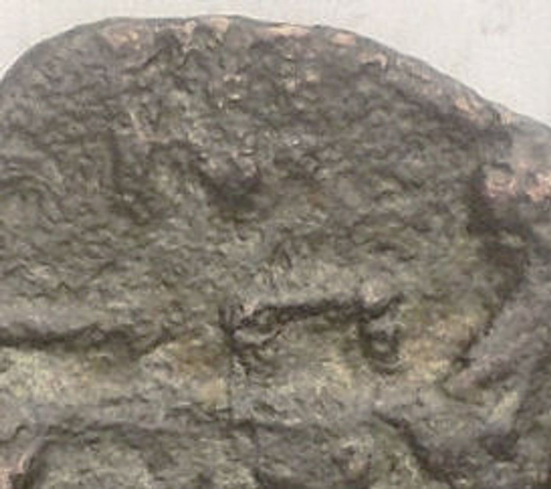 Immagine aggiuntiva 1