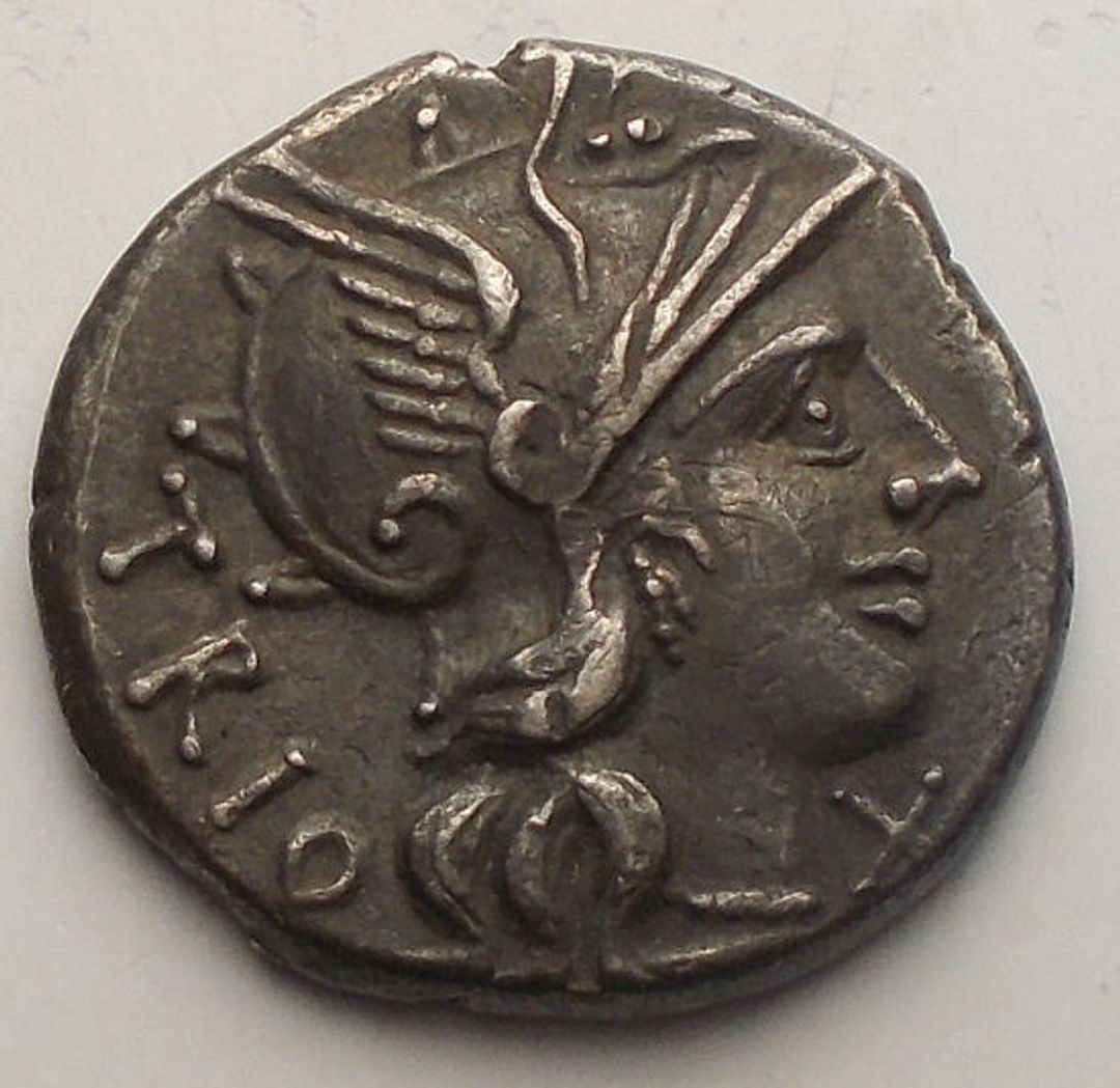 Immagine aggiuntiva 1