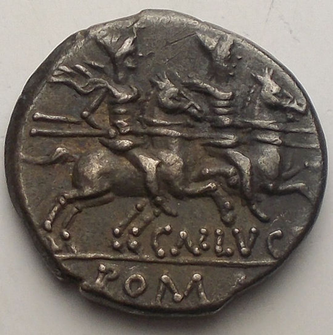 Immagine aggiuntiva 2