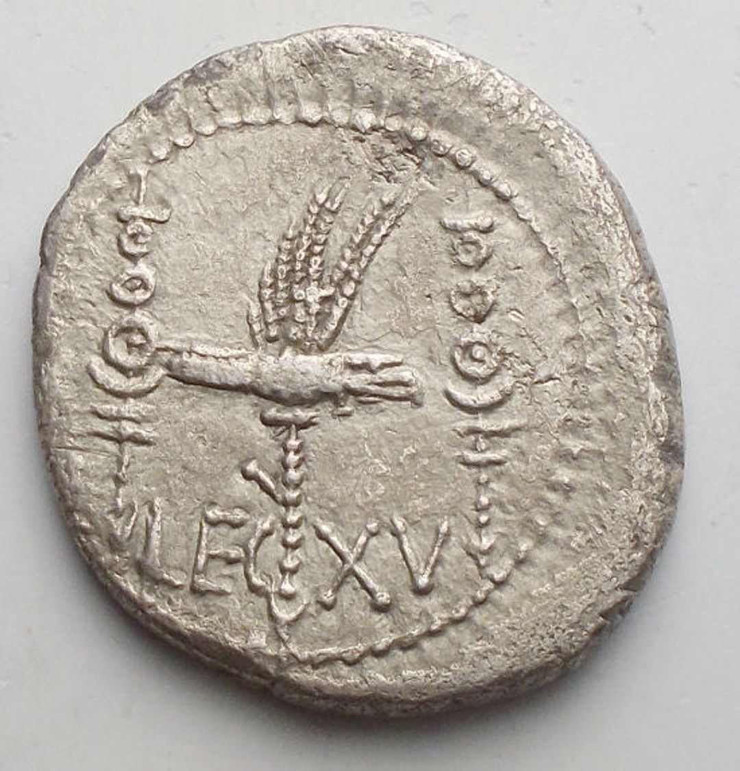 Immagine aggiuntiva 2