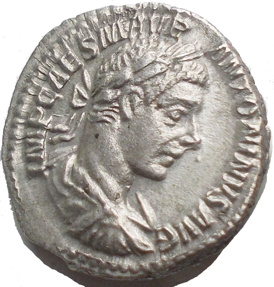 Immagine aggiuntiva 1