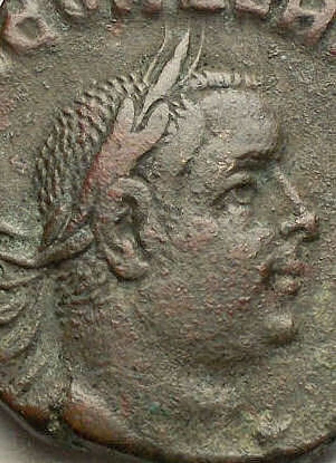 Immagine aggiuntiva 1