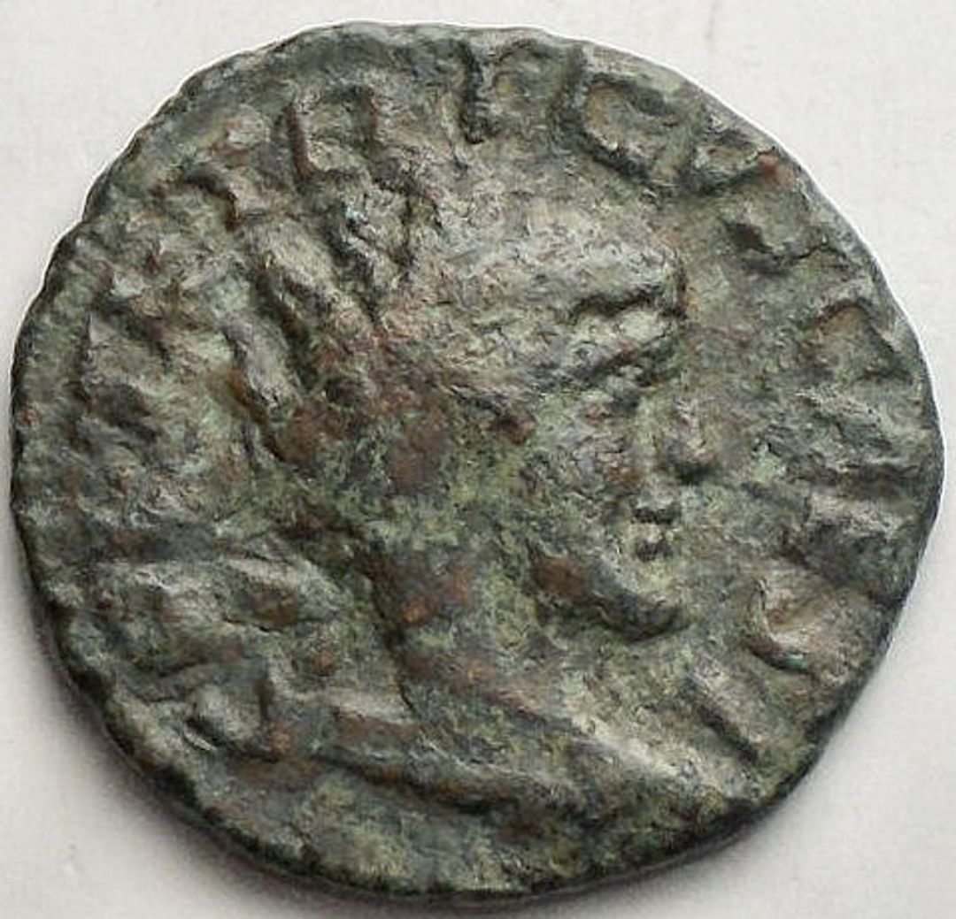 Immagine aggiuntiva 1