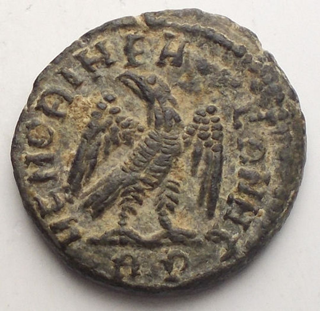 Immagine aggiuntiva 2